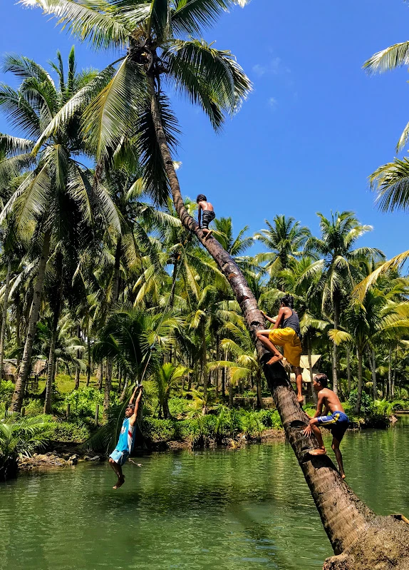 kids on rope swing