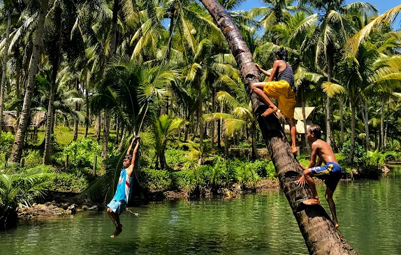 How to Visit the Siargao Coconut Tree Rope Swing
