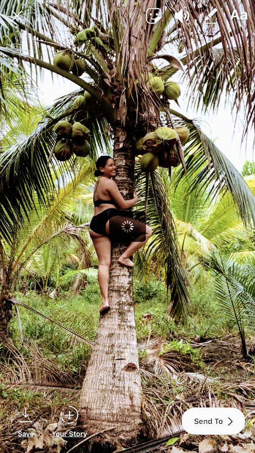 summer climbs a dwarf tree